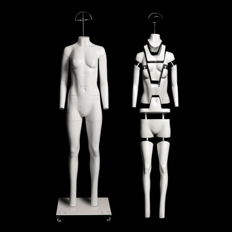 Maniquí invisible - torso mujer