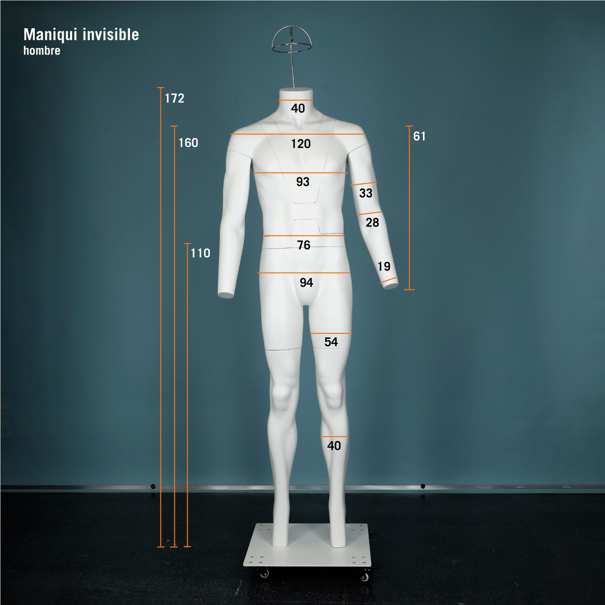 ᐉ Alquiler - Maniquí invisible - torso hombre